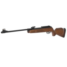 GAMO HUNTER 440