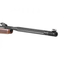 GAMO HUNTER MAXXIM IGT