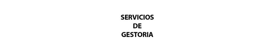 Servicio de Gestoria